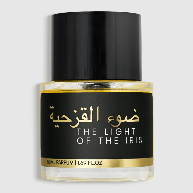 THE LIGHT OF THE IRIS - Image 2