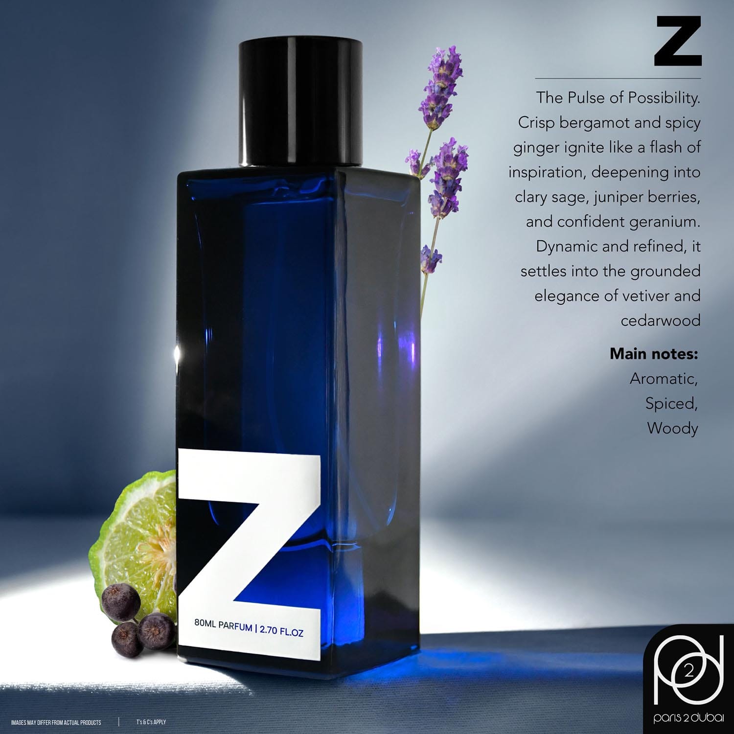 Z - Image 2